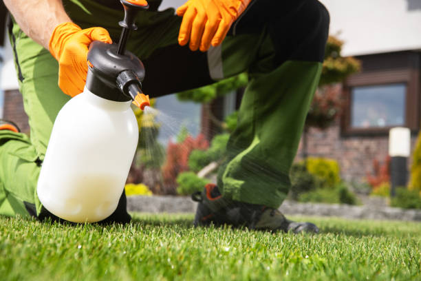 Best Affordable Pest Control Services  in Hazard, KY