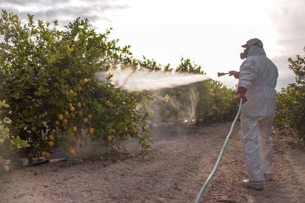 Pest Control Cost in Hazard, KY