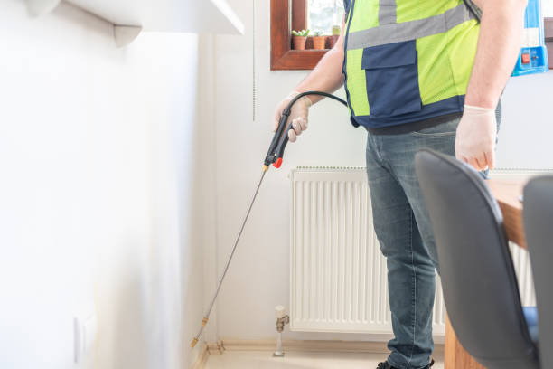 Best Flea Control Services  in Hazard, KY