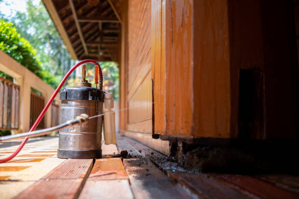 Best Affordable Pest Control Services  in Hazard, KY