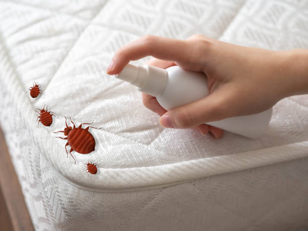 Best Bed Bug Extermination  in Hazard, KY