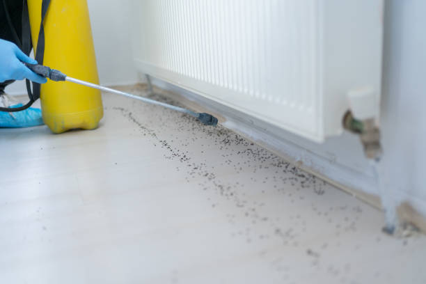 Best Commercial Pest Control Services  in Hazard, KY