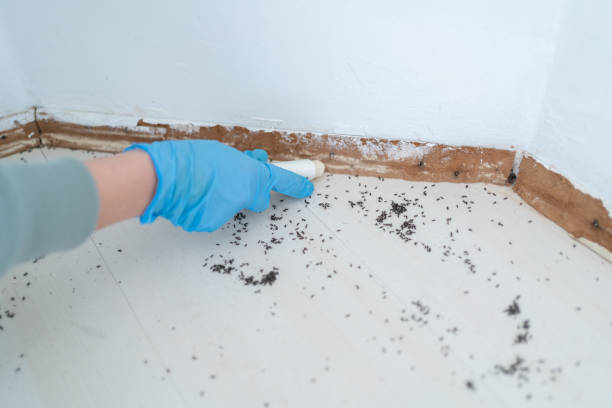 Best Pest Control Treatment  in Hazard, KY